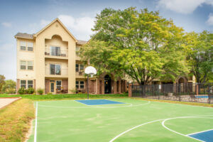 community basketball court